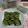 Cooksnap dari Beby Merika untuk resep Kue talam Srikaya pandan/Serimuka