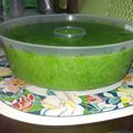 Cooksnap dari mutia septika untuk resep Puding Lumut Pandan Suji♡