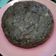Cooksnap dari Galuh Wibisono untuk resep Banana Cake (without baking powder) Ala Anak Kost