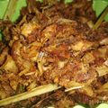 Cooksnap dari Stella Panda untuk resep Abon Ayam Suwir