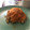 El cooksnap de Barbara8729 cuando hizo Pavo encebollado dulce al curry con puré de zanahorias.