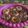 Cooksnap dari Oncella Ayumi untuk resep Donat singkong