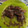 El cooksnap de Pablo Navarro cuando hizo Lagarto ibérico con salsa de Pedro Ximénez.
