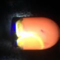 Alejandra Guizar's cooksnap of when they made sunshines sunrise sipper.