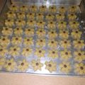 Cooksnap dari irwinda untuk resep Kastengel Chocochips (enak dan ngak ribet) 😂