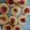El cooksnap de Tamara cuando hizo Galletitas Con Crema Pastelera / Pepas Sin Manteca.