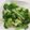 Psyche Chang 的 【家樂福廚房】高鈣料理》蒜炒綠花椰菜 cooksnap