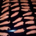Cooksnap dari Mutiara Jiwa Jenia untuk resep Semprit susu 3 bahan