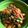 Cooksnap dari Diana Kartika untuk resep Sambal Udang Pete