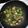 abe.rodriguez.31's cooksnap of when they made Bacon Citrus Brussels Sprouts.