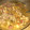 El cooksnap de Estamos como queremos cuando hizo Buseca.
