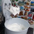 El cooksnap de Noemi De leon cuando hizo Merengue -fácil.