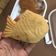 Cooksnap dari zwethapancar untuk resep Taiyaki atau Bungeoppang