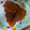 El cooksnap de antonio cuando hizo Jamoncitos de pollo en salsa de la abuela.