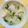 SpottedByD's cooksnap of when they made Chicken & Vegetable Vermicelli Soup - Sotanghon / Glass Noodle Soup.