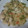 El cooksnap de miki cuando hizo Pollo con fideos.