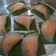 Cooksnap dari Yulce Moningka untuk resep Chai kwe (choi pan)