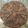 La cooksnap de Antonia García Fernández cuando cocinó Pizza dulce con masa extrafina cubierta de chocolate y decorar a tu gusto