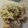 Cooksnap dari Eva Bun SyaQLif untuk resep Banana Roll Chocolate Cheese #pr_adakejunya