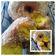 Cooksnap dari Phia untuk resep Donat Labu Kuning NCC