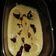 El cooksnap de Alejandra Gomez cuando hizo Helado Banana Split saludable! 3 ingredientes.