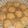 El cooksnap de Lodeli cuando hizo Galletitas de zanahoria y naranja sin tacc.