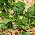 Cooksnap dari Jo Clara (IG @JoClaraa) untuk resep Pecel Santan Khas Tulungagung