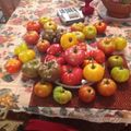 Lee's's cooksnap of when they made Broiled fresh garlic parm tomatoes.