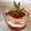 El cooksnap de Mari Carmen cuando hizo Smoothie de verano total!! ☀️🥝🍌.