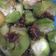 Cooksnap dari Rina Juwita untuk resep Rujak kedondong geprek