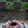 Cooksnap dari deasy untuk resep Puding Coklat Susu