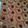 sindy burchfield's cooksnap of when they made peanut butter blossom cookies.