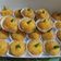 Cooksnap dari Rety Rahmawati untuk resep Bitterballen Makaroni