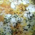 کوک اسنپ کیک 🎂 شیرینی🍩 گل نرگس 🌼 بعد از امتحان کردن نیمرو سیاهدانه.