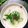 Cooksnap của Rose Truong khi họ làm theo món Cháo rau củ ruốc cá của người bệnh cho người bệnh