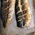 Cherrie 的 烤鯖魚-皮脆肉嫩又多汁的烤箱料理 cooksnap