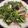 盧書音 的 小卷炒韭菜花 cooksnap
