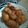 Cooksnap dari Nur Weide untuk resep Fried chicken