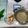 El cooksnap de Coronada Calle Carrillo cuando hizo Caldo sencillo de pollo en thermomix.