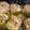 Sonya Mabon's cooksnap of when they made Philly cheesesteak stuffed bell peppers.
