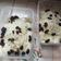 Cooksnap dari Umi Salma untuk resep 130. Pisang Berendam