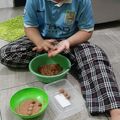 Cooksnap dari Rina Dewi Indah Sari untuk resep Bola-Bola Coklat Marie Regal