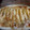 El cooksnap de SuperDesyLaChef cuando hizo Canelones tradicionales.
