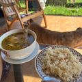 El cooksnap de Zacarías Piedras Del Río cuando hizo Sancocho.
