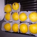 Cooksnap dari endahsaputrish untuk resep Bakpao Ubi Kuning
