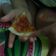 Cooksnap dari Dapur Ummu kholid untuk resep Thin crust pizza homemade