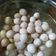 Cooksnap dari Rosie Lega Andrianie untuk resep Cimol bandung anti meledak dan anti melempem