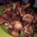 Cooksnap dari Dapoer Nasya untuk resep Batagor Kulit Pangsit