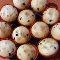 El cooksnap de Pato Esquisino cuando hizo Muffins de vainilla con chips. Ricos fáciles y económicos🔥.