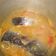Cooksnap dari Heppy Zanissa untuk resep Mujaer Asap kuah kuning mix tahu